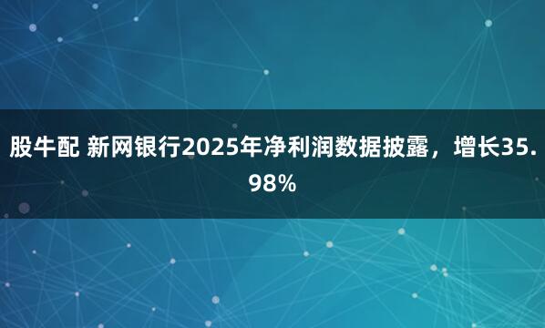 股牛配 新网银行2025年净利润数据披露，增长35.98%