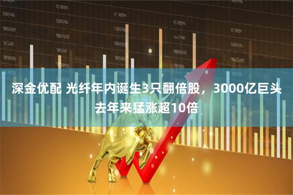 深金优配 光纤年内诞生3只翻倍股，3000亿巨头去年来猛涨超10倍